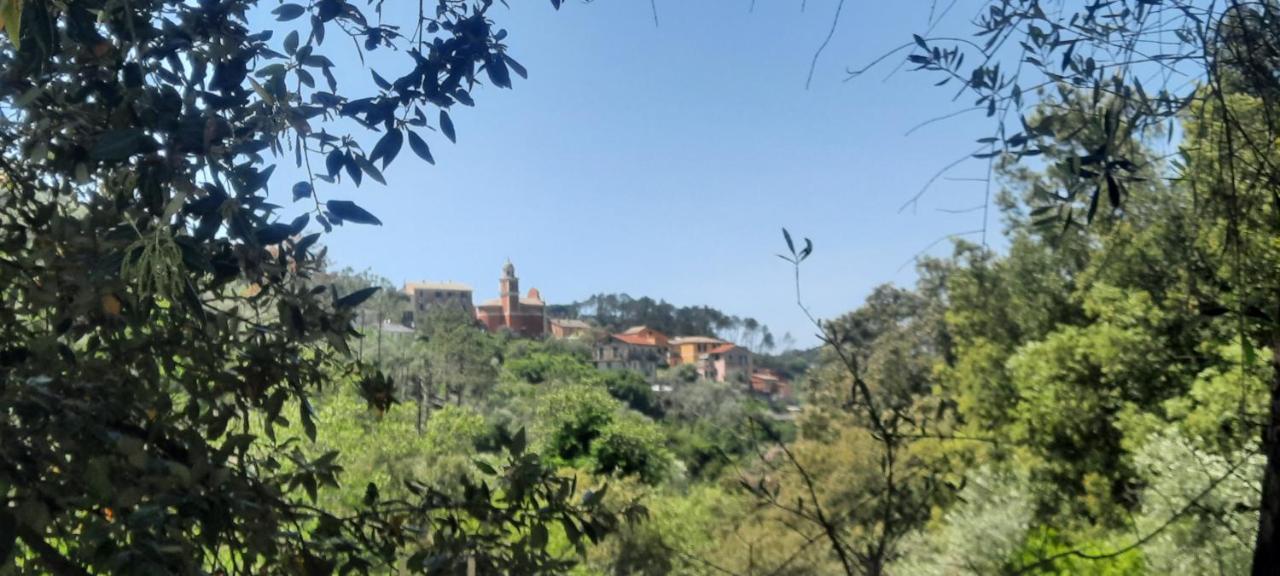 Vecchio Mulino Fontona Girasole Apartman Chiesanuova  Kültér fotó