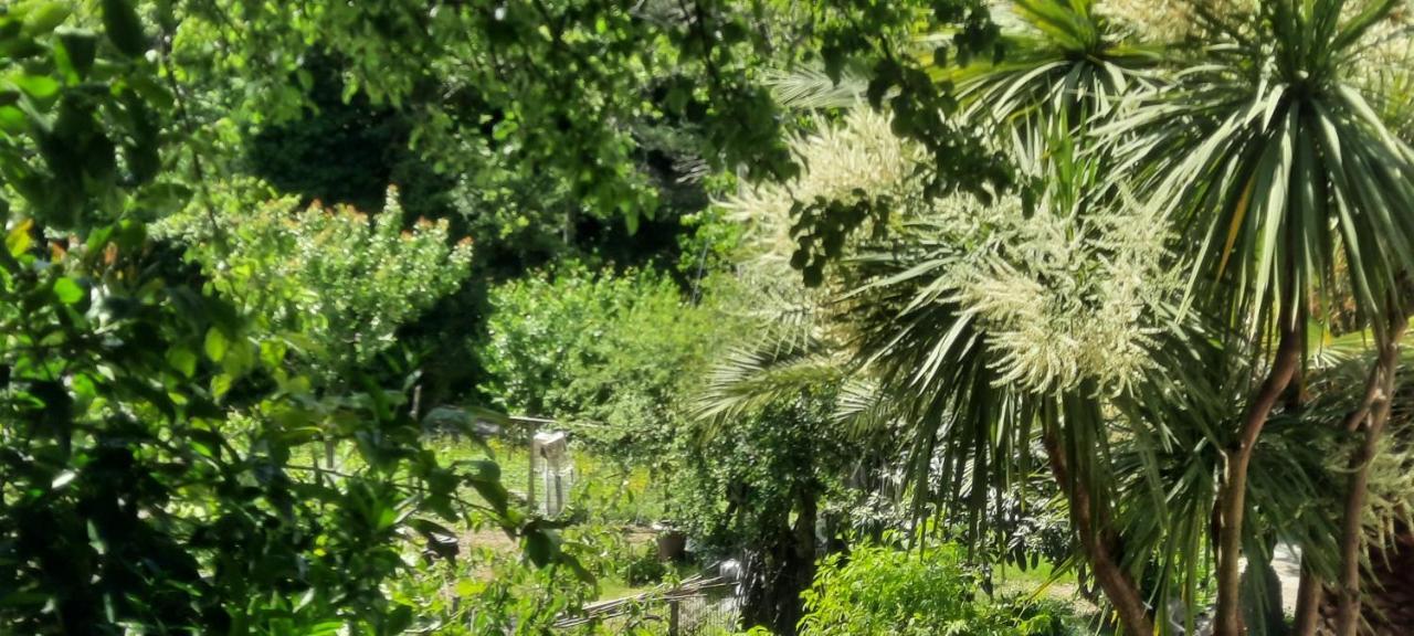Vecchio Mulino Fontona Girasole Apartman Chiesanuova  Kültér fotó